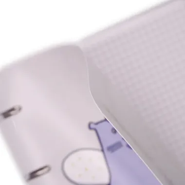 Тетрадь 100л кл. 