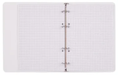 Тетрадь 100л кл. 