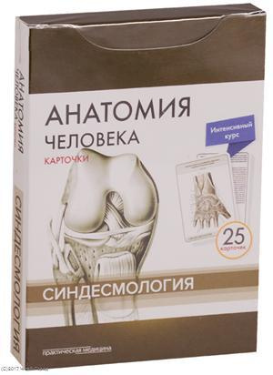 Анатомия человека. Синдесмология (25 карточек)
