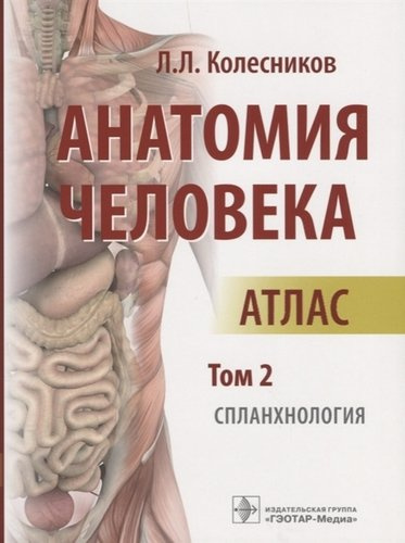 Анатомия человека Атлас Т. 2 Спланхнология (м) Колесников