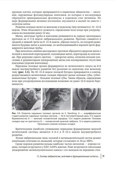 Заболевания кожи и инфекции, передаваемые половым путем, в акушерско-гинекологической практике: руководство для врачей