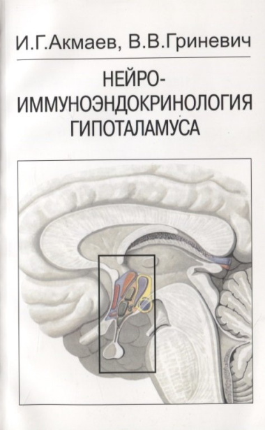 Нейроэндокринология гипоталамуса
