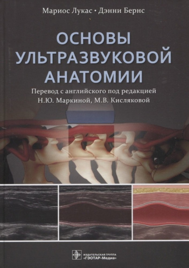 Основы ультразвуковой анатомии