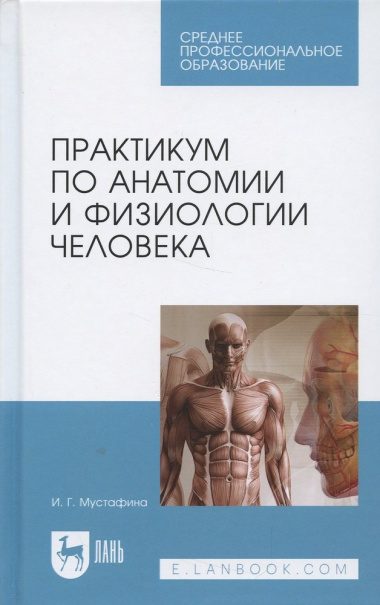 Практикум по анатомии и физиологии человека. Учебное пособие
