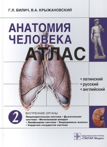 Анатомия человека. Атлас: учебное пособие. В 3 томах. Том 2. Внутренние органы.