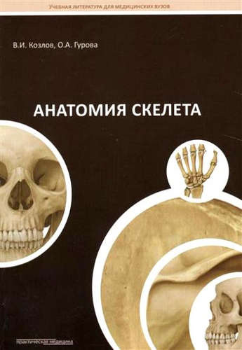 Анатомия скелета: Учебное пособие
