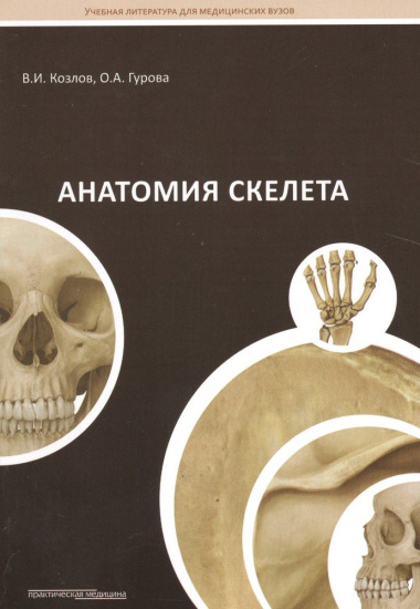Анатомия скелета: Учебное пособие