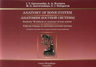 Анатомия костной системы: рабочая тетрадь к учебному пособию (на английском языке)