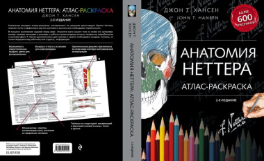Анатомия Неттера: атлас-раскраска