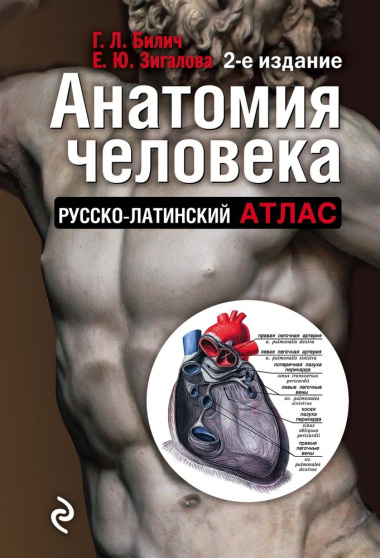 Анатомия человека:рус-лат.атл.2-е изд