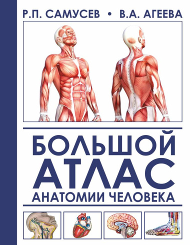 Большой атлас анатомии человека. 2-е издание, исправленное и дополненное