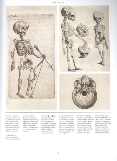 Анатомика. От ужасного до великого: человеческое тело в искусстве