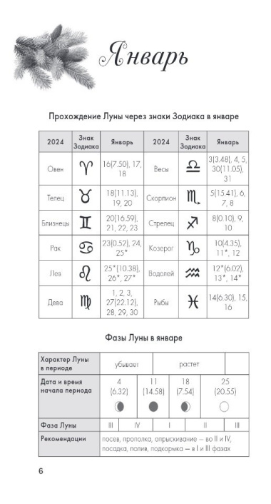 Лунный посевной календарь для любимых дачников 2024 от Галины Кизимы