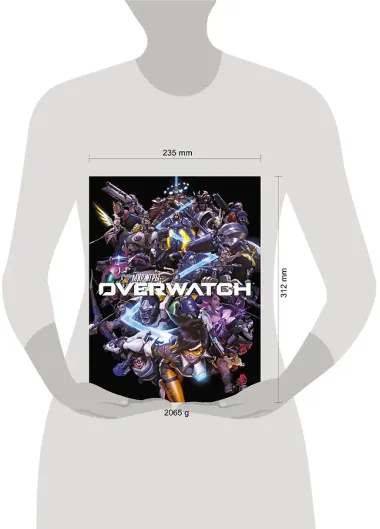 Мир игры OVERWATCH