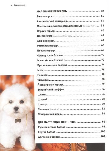 Все породы собак. Большая иллюстрированная энциклопедия