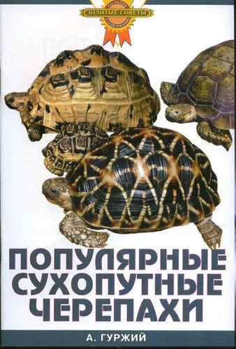 Популярные сухопутные черепахи.(цвет)