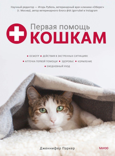 Первая помощь кошкам. Осмотр, действия в экстренных ситуациях, аптечка первой помощи, здоровье