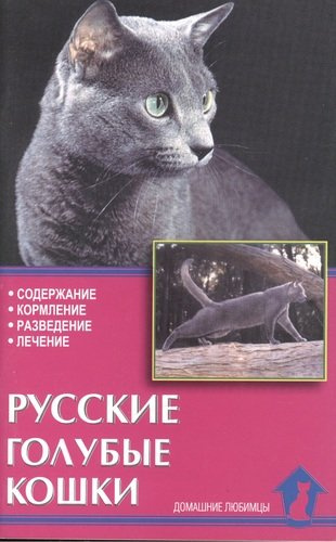Русские голубые кошки. Содержание. Кормление. Разведение. Лечение