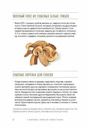 Запасы из грибов и орехов: соление, маринование, сушка