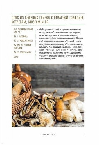 Запасы из грибов и орехов: соление, маринование, сушка