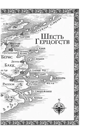 Сага о Видящих. Книга 3. Странствия убийцы