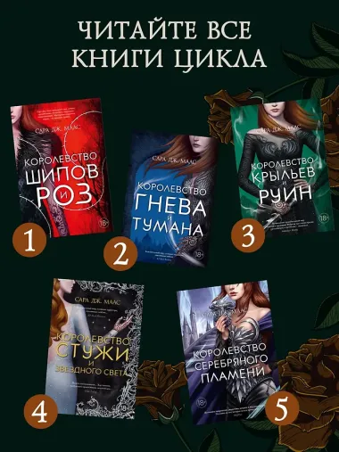Королевство крыльев и руин