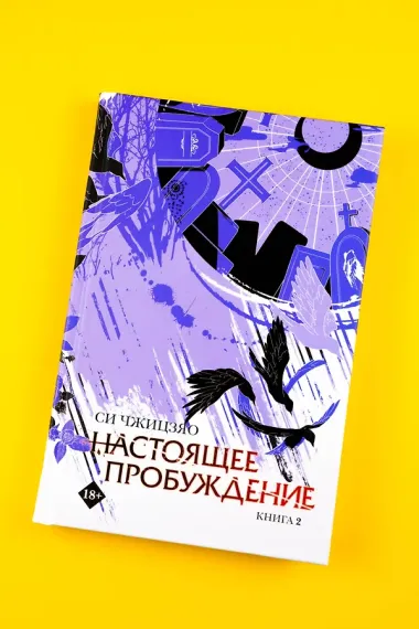 Настоящее пробуждение. Real Awakening. Книга 2