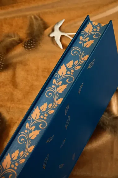 Библиотека Остролиста