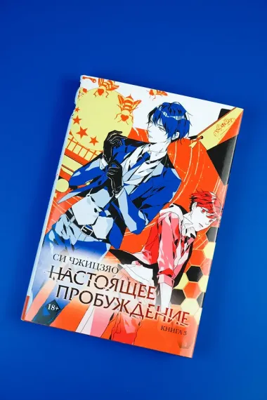 Настоящее пробуждение. Real Awakening. Книга 3