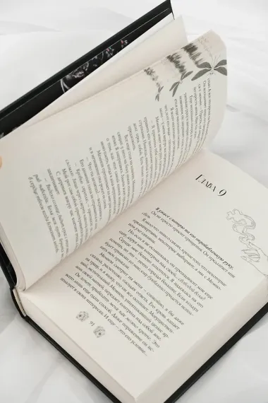 Зачарованная