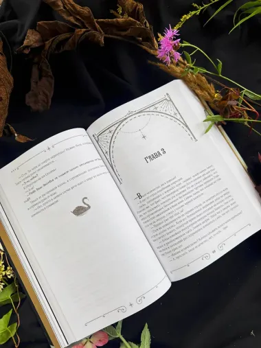 Черный лебедь, ставшая матерью принцессы-лебедя. Том 1