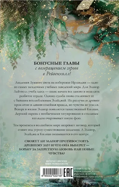 Академия лунного света. Проклятие темных фей