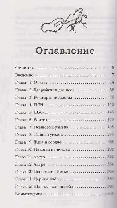 Шляпа, полная неба