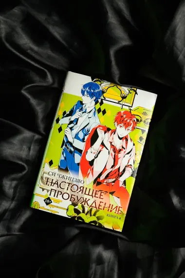 Настоящее пробуждение. Real Awakening. Книга 4