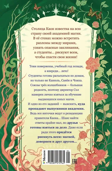 Маги Каона. Последний принц