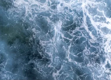 Холодное сердце Хальгорда