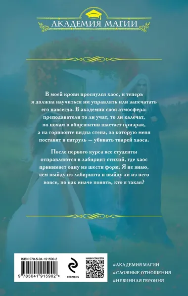 Академия Хаоса. Лабиринт стихий
