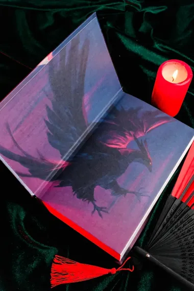 На черных крыльях феникса