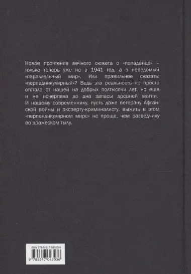 Рыцарь в серой шинели. Книга 1