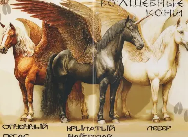 Код лошади. Том II