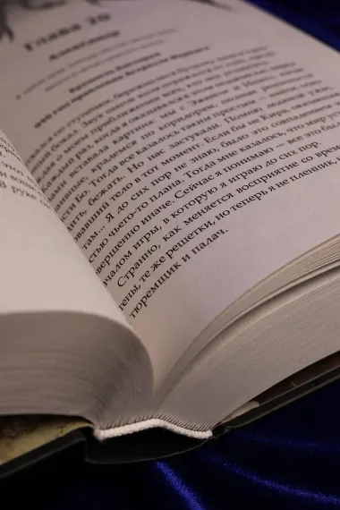 Сожженные земли. Павший