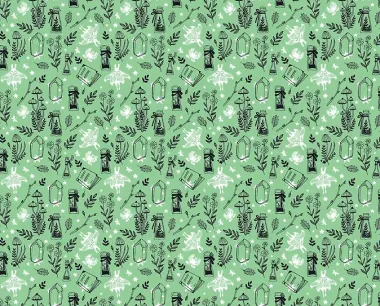 Хозяйка магической лавки. Книга 1