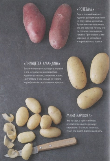 Картошка во всем ее многообразии