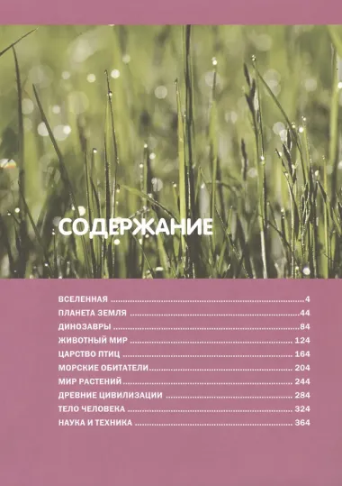 Большая иллюстрированная энциклопедия для младших школьников