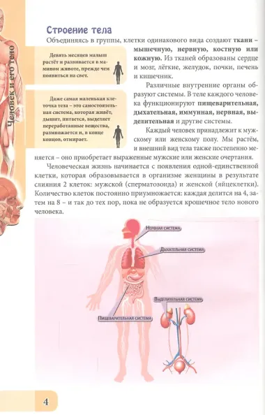 ЭНЦИКЛОПЕДИЯ. В МИРЕ ЗНАНИЙ. ЧЕЛОВЕК И ЕГО ТЕЛО