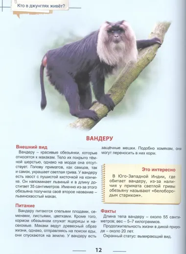Энциклопедия для детей кто в джунглях живет?