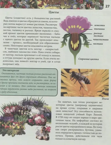 Моя первая энциклопедия