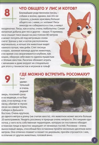 123 вопроса – 123 ответа. Животные России