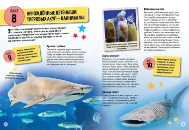 Всё об окружающем мире с научной точки зрения