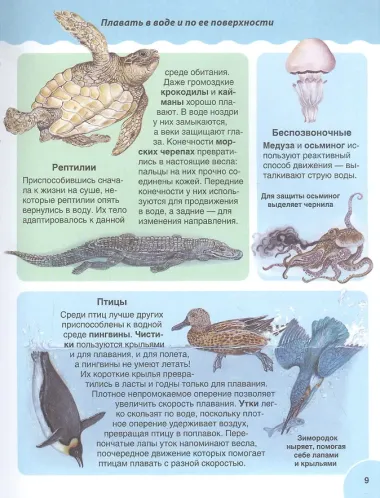 Животные. Детская иллюстрированная энциклопедия